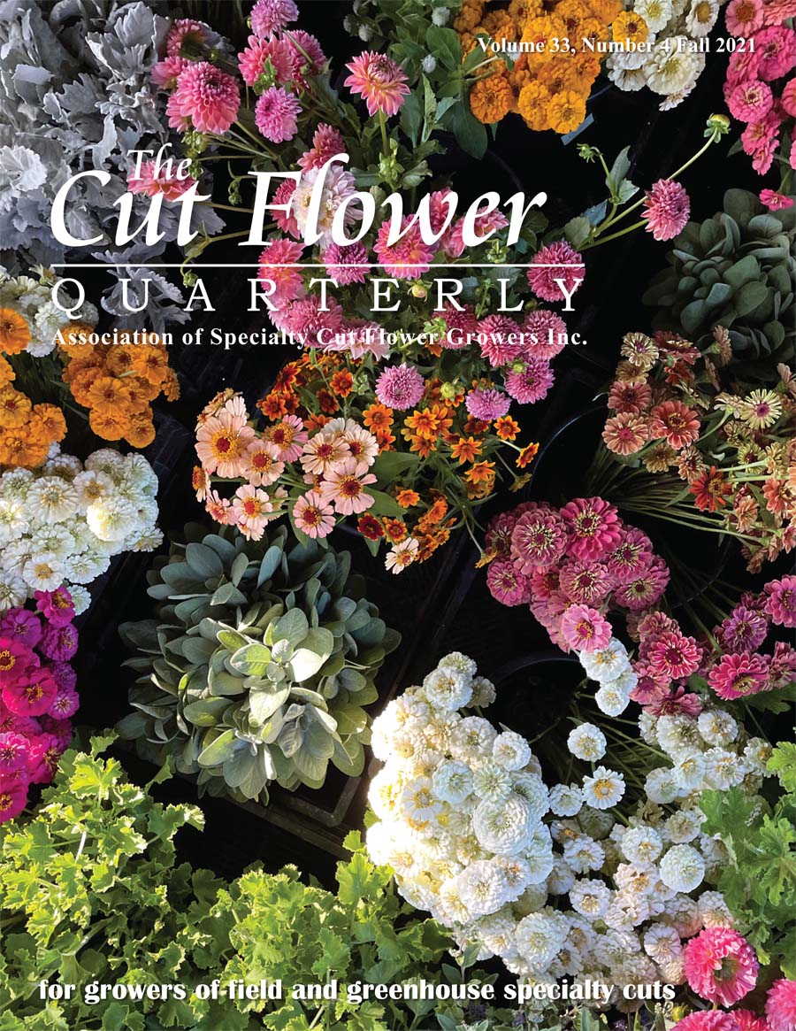 The Cut Flower Quarterly Association of Specialty Cut Flower Growers