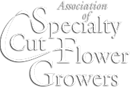 Association of Specialty Cut Flower Growers